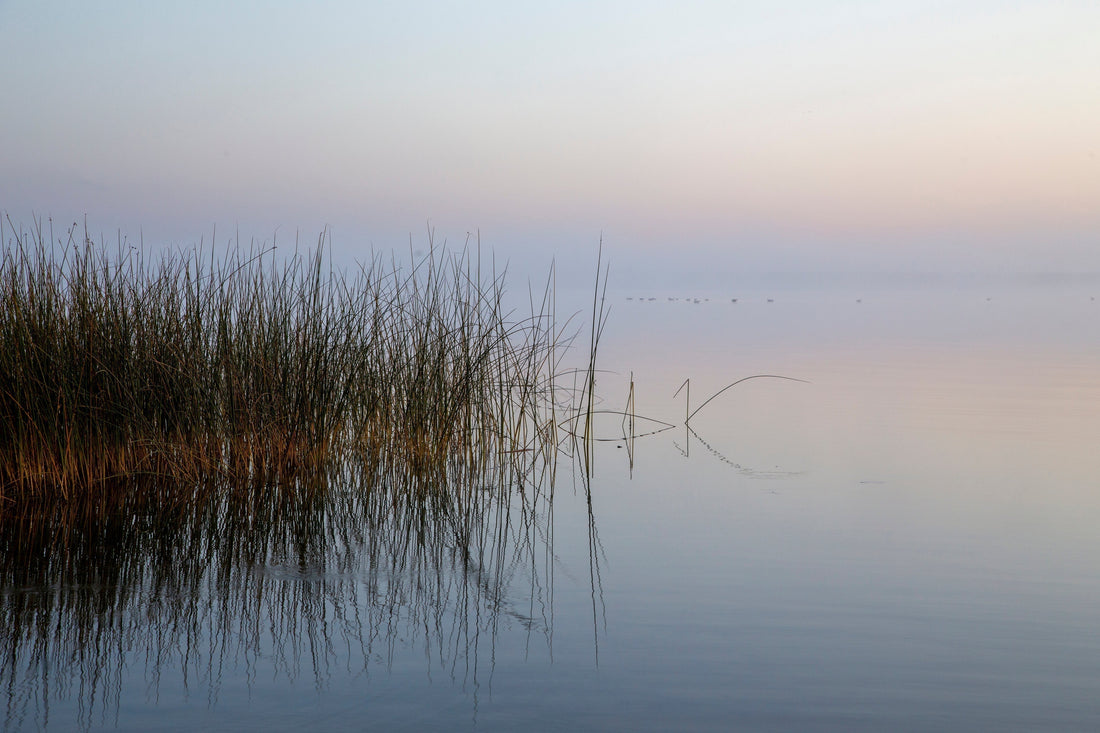 The environment is part of the experience.