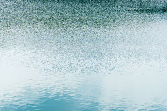 Why recognition often comes before explanation